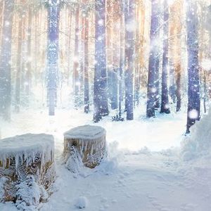 cabina della neve per sauna / per hotel / per centri benessere