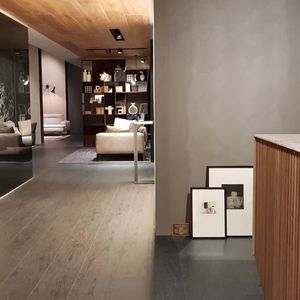 pittura decorativa / per muro / per esterni / indoor