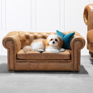 divano per cani in legno