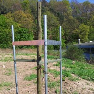 sistema di legatura per albero