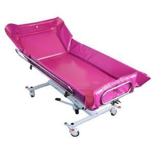 carrello da doccia elettrico 1