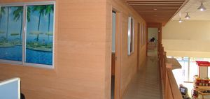 rivestimento di facciata a doghe / in WPC / liscio / con scanalature