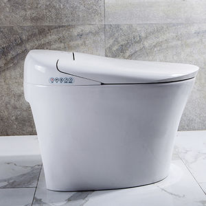 WC intelligente