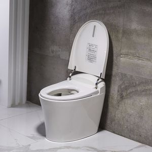 WC intelligente