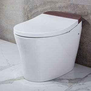WC intelligente