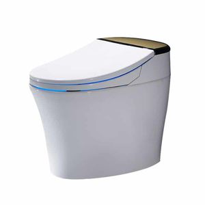 WC intelligente