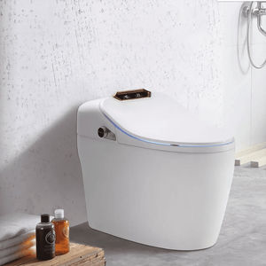 WC intelligente 1
