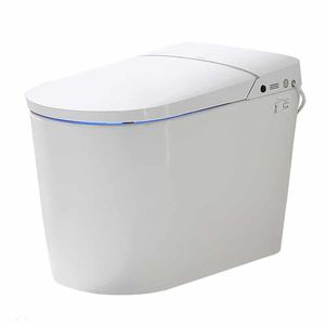 WC intelligente 1