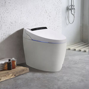 WC intelligente 1