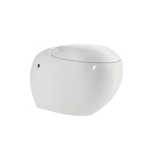 WC intelligente 1