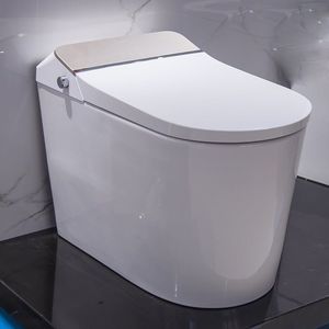 WC intelligente