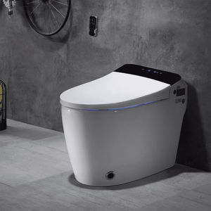 WC intelligente 1