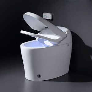 WC intelligente 1