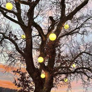 lampada a sospensione 1