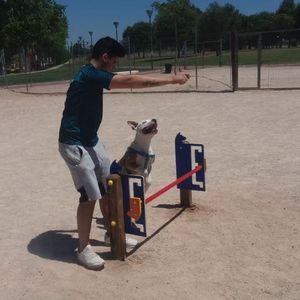 percorso a ostacoli per lo sviluppo dell'agilità 1