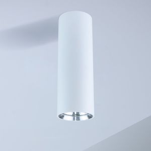 downlight sporgente