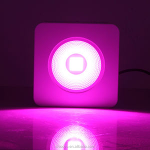 luce LED