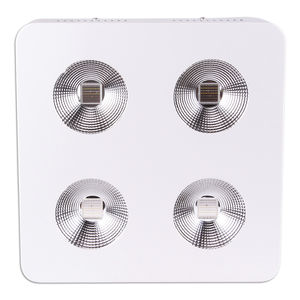 luce LED