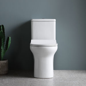 WC da appoggio