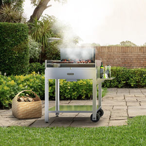 barbecue a legna