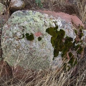 blocco in pietra per spazi verdi