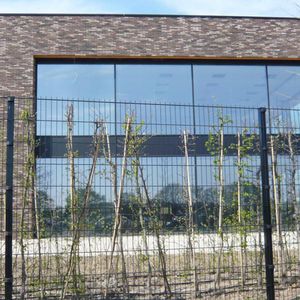 recinzione a maglia saldata 1