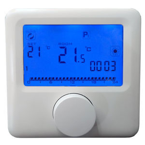 termostato digitale 1