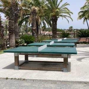tavolo da ping-pong per esterni 1