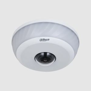camera di sicurezza PTZ 1