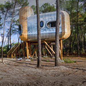 colonna in legno esotico 1