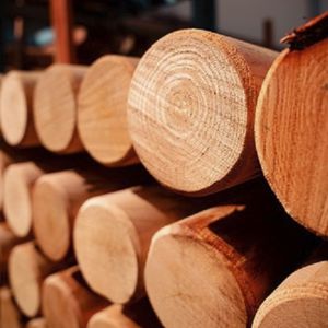 trave in legno