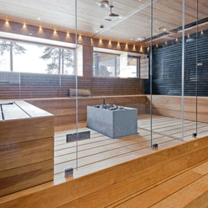 stufa per sauna contemporanea