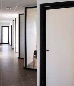 porta da interno 1