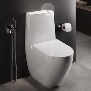 WC monoblocco