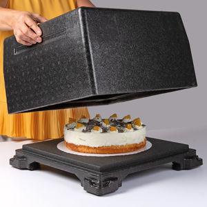 contenitore isotermico professionale