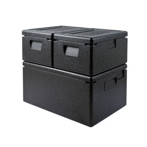 contenitore isotermico professionale