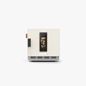 forno professionale