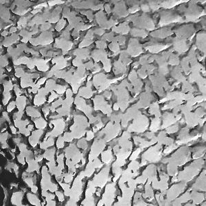 lamiera metallica goffrata 1