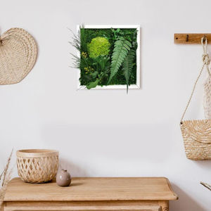 quadro vegetale stabilizzato