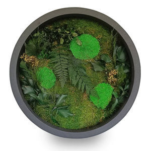 quadro vegetale stabilizzato
