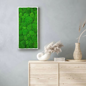 quadro vegetale stabilizzato