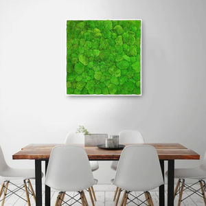 quadro vegetale stabilizzato