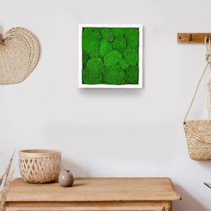 quadro vegetale stabilizzato
