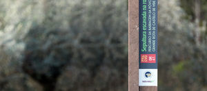 totem di segnalazione