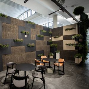 giardino verticale di piante viventi