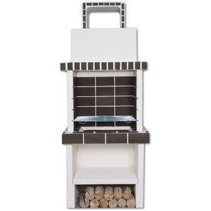 barbecue a legna 1