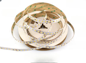striscia flessibile a LED 1