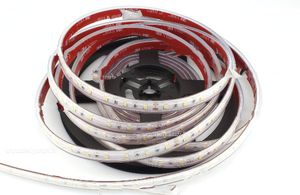 striscia flessibile a LED 1