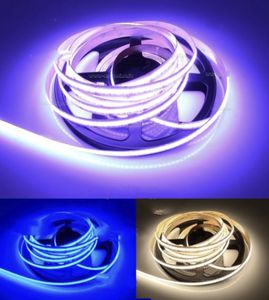 striscia flessibile a LED 1