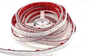 striscia flessibile a LED 1